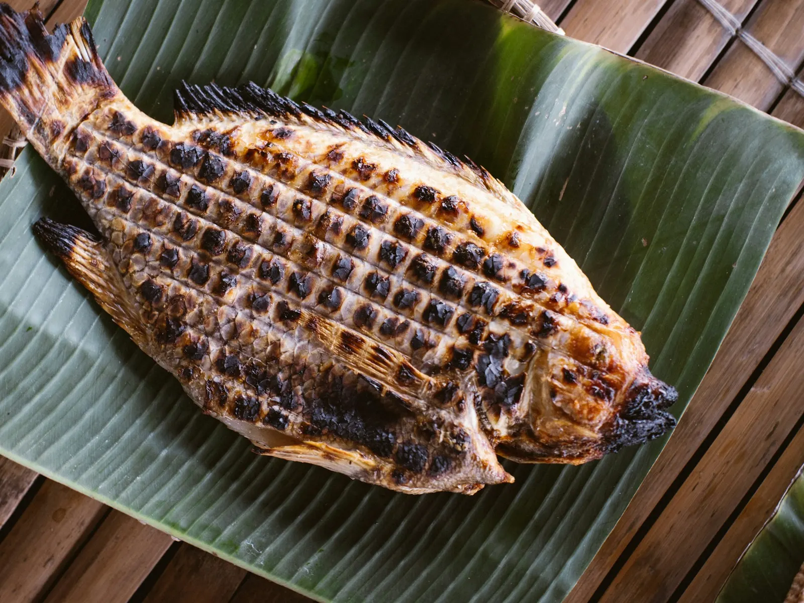 Grilled tilapia